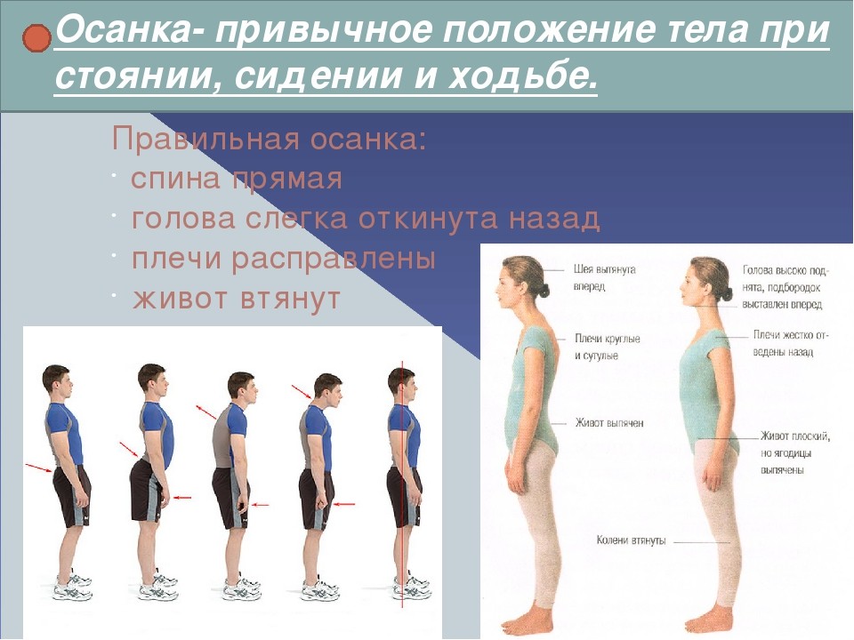 Как правильно держать осанку