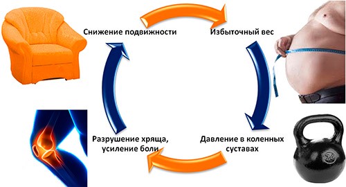Факторы влияющие на развитие пателлофеморального артроза коленного сустава