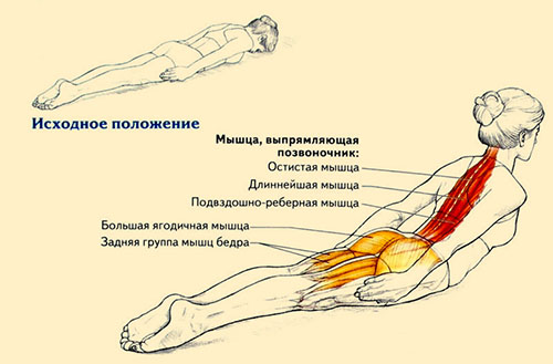 Простые упражнения для выпрямления позвоночника